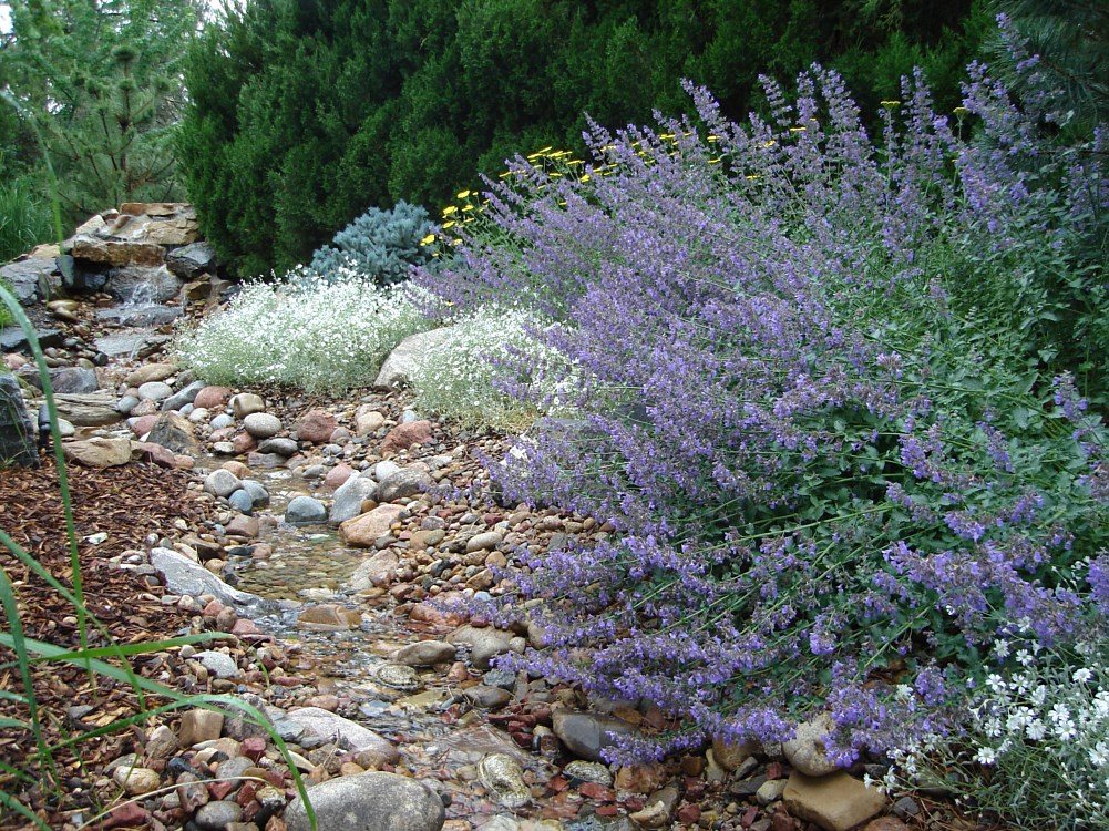 Water Features